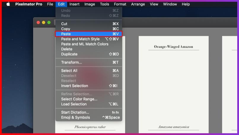 Open your other picture after that and select Edit > Paste.